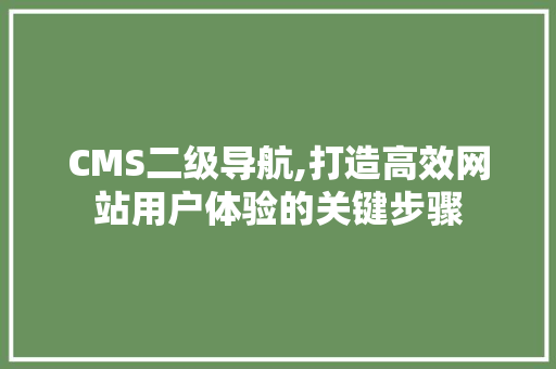 CMS二级导航,打造高效网站用户体验的关键步骤 必应SEO