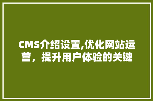 CMS介绍设置,优化网站运营，提升用户体验的关键 百度SEO