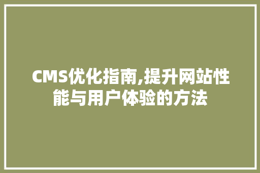 CMS优化指南,提升网站性能与用户体验的方法 百度SEO