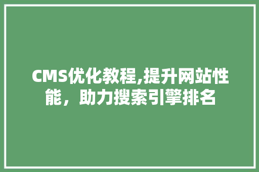 CMS优化教程,提升网站性能，助力搜索引擎排名 必应SEO