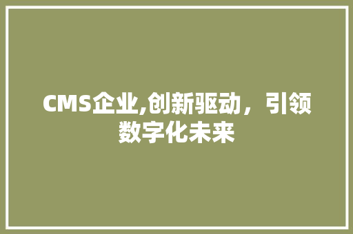 CMS企业,创新驱动，引领数字化未来 SEO关键词