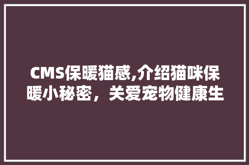 CMS保暖猫感,介绍猫咪保暖小秘密，关爱宠物健康生活 神马SEO