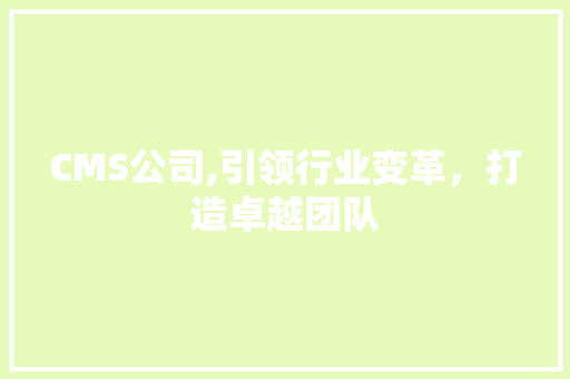 CMS公司,引领行业变革，打造卓越团队 SEO关键词