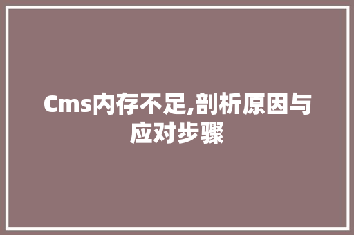 Cms内存不足,剖析原因与应对步骤 必应SEO