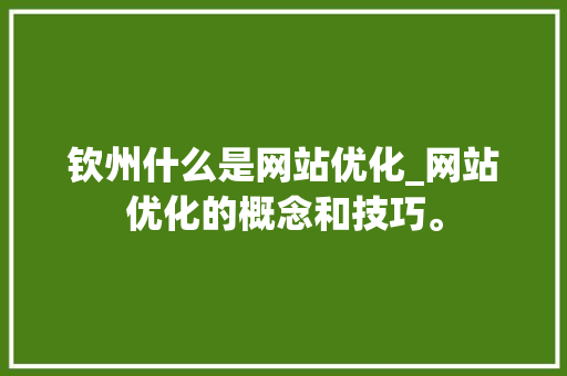 钦州什么是网站优化_网站优化的概念和技巧。 钦州什么是网站优化_网站优化的概念和技巧。 SEO关键词