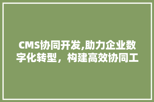 CMS协同开发,助力企业数字化转型，构建高效协同工作环境 必应SEO