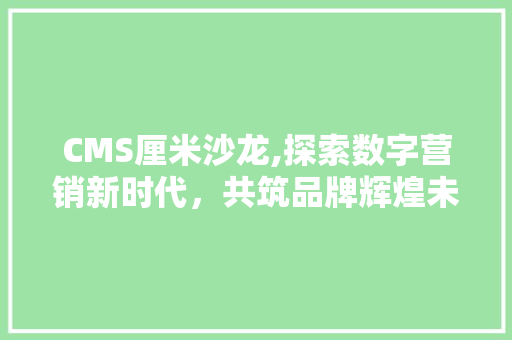 CMS厘米沙龙,探索数字营销新时代，共筑品牌辉煌未来