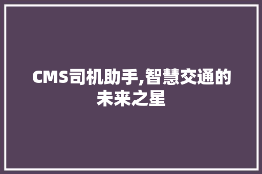 CMS司机助手,智慧交通的未来之星