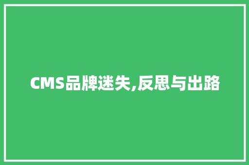 CMS品牌迷失,反思与出路 SEO关键词