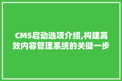 CMS启动选项介绍,构建高效内容管理系统的关键一步 百度SEO