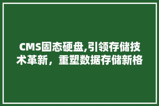 CMS固态硬盘,引领存储技术革新，重塑数据存储新格局 搜狗SEO