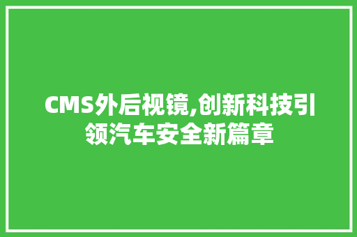 CMS外后视镜,创新科技引领汽车安全新篇章