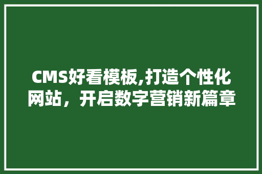 CMS好看模板,打造个性化网站，开启数字营销新篇章 SEO关键词