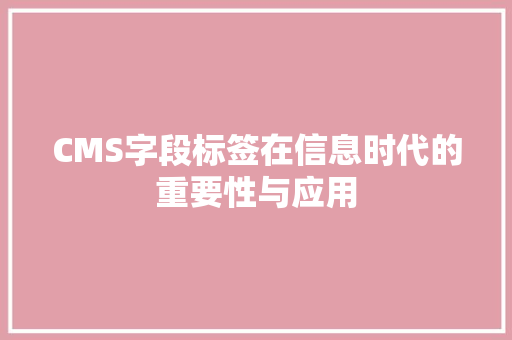 CMS字段标签在信息时代的重要性与应用 必应SEO
