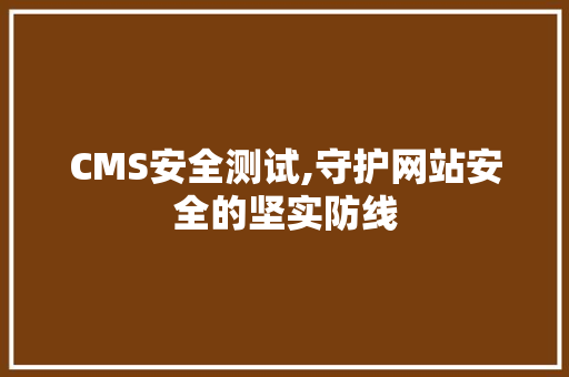 CMS安全测试,守护网站安全的坚实防线 SEO关键词