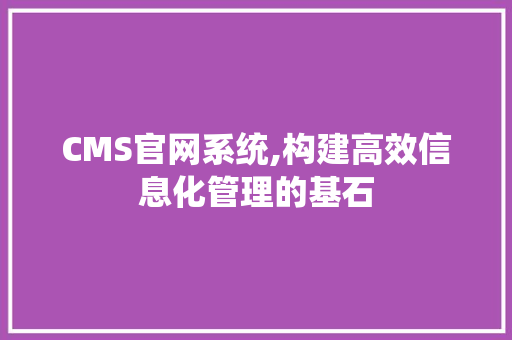 CMS官网系统,构建高效信息化管理的基石 必应SEO