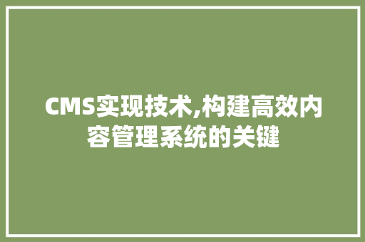 CMS实现技术,构建高效内容管理系统的关键 网站建设公司