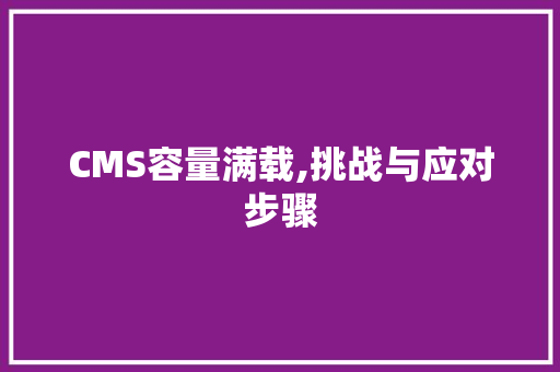 CMS容量满载,挑战与应对步骤 必应SEO