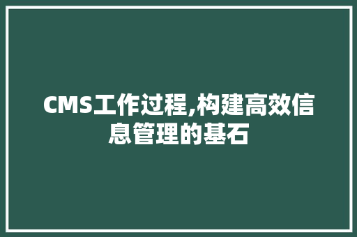 CMS工作过程,构建高效信息管理的基石 网站建设公司