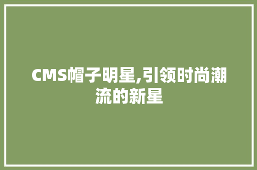 CMS帽子明星,引领时尚潮流的新星 网站建设公司