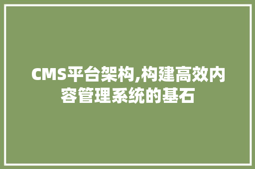 CMS平台架构,构建高效内容管理系统的基石 SEO关键词