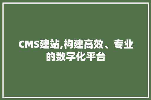 CMS建站,构建高效、专业的数字化平台 搜狗SEO