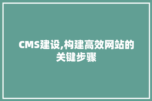 CMS建设,构建高效网站的关键步骤 SEO关键词