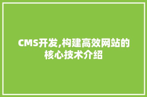 CMS开发,构建高效网站的核心技术介绍 SEO关键词