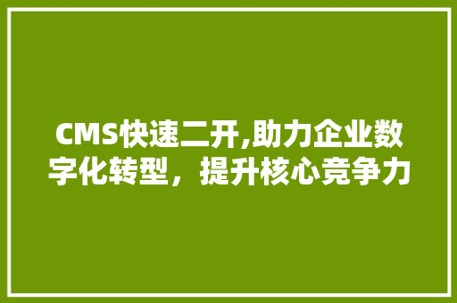 CMS快速二开,助力企业数字化转型，提升核心竞争力 百度SEO