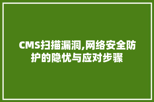 CMS扫描漏洞,网络安全防护的隐忧与应对步骤 百度SEO
