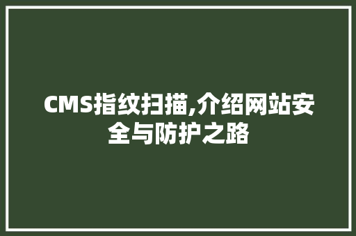 CMS指纹扫描,介绍网站安全与防护之路 必应SEO