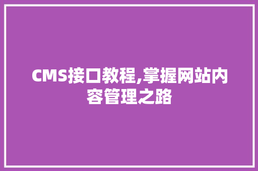 CMS接口教程,掌握网站内容管理之路 网站建设公司