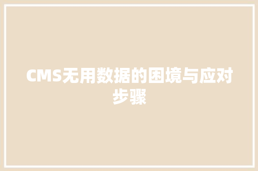 CMS无用数据的困境与应对步骤 神马SEO