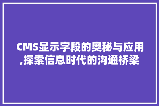 CMS显示字段的奥秘与应用,探索信息时代的沟通桥梁 网站建设公司