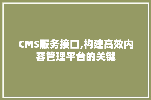 CMS服务接口,构建高效内容管理平台的关键 必应SEO
