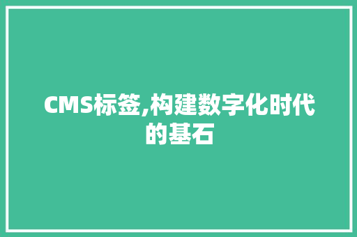 CMS标签,构建数字化时代的基石 神马SEO