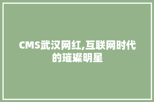 CMS武汉网红,互联网时代的璀璨明星