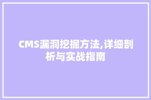 CMS漏洞挖掘方法,详细剖析与实战指南