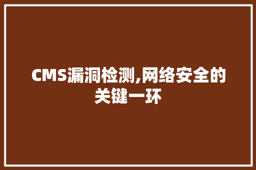 CMS漏洞检测,网络安全的关键一环