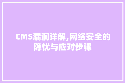 CMS漏洞详解,网络安全的隐忧与应对步骤 SEO关键词