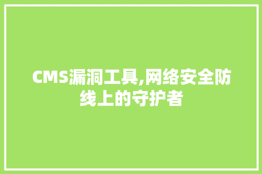 CMS漏洞工具,网络安全防线上的守护者