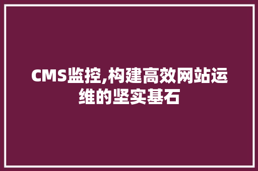 CMS监控,构建高效网站运维的坚实基石 SEO关键词