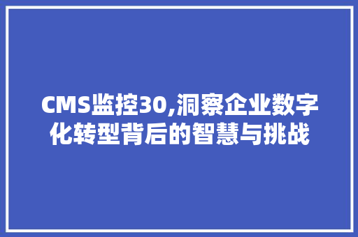 CMS监控30,洞察企业数字化转型背后的智慧与挑战 百度SEO