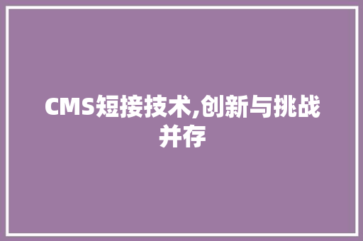 CMS短接技术,创新与挑战并存 必应SEO