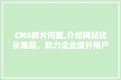 CMS碎片问题,介绍网站优化难题，助力企业提升用户体验 必应SEO