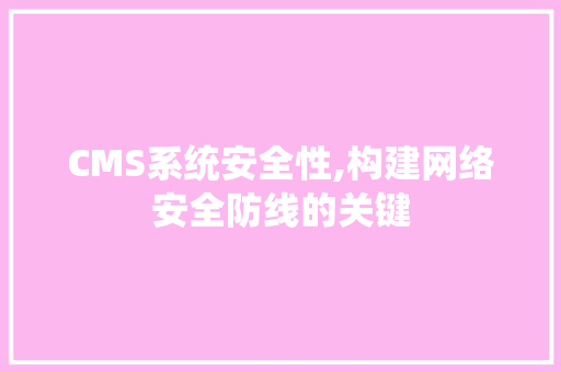 CMS系统安全性,构建网络安全防线的关键 必应SEO