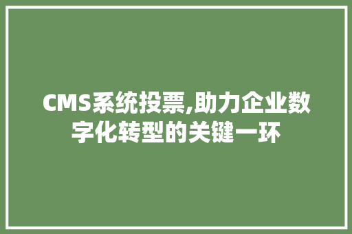 CMS系统投票,助力企业数字化转型的关键一环 必应SEO