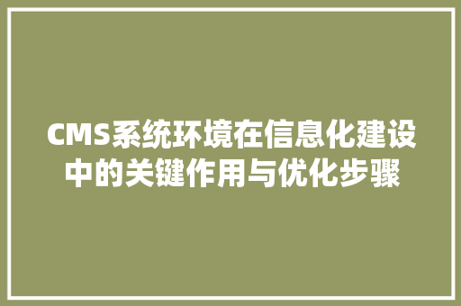 CMS系统环境在信息化建设中的关键作用与优化步骤 百度SEO