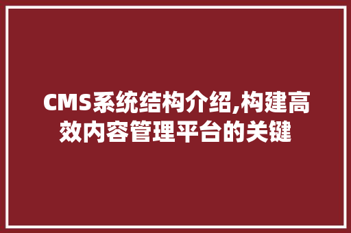 CMS系统结构介绍,构建高效内容管理平台的关键 必应SEO