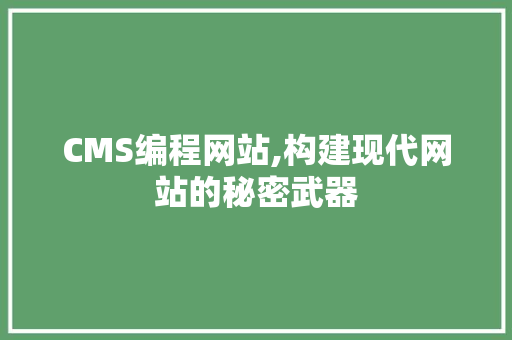 CMS编程网站,构建现代网站的秘密武器 百度SEO